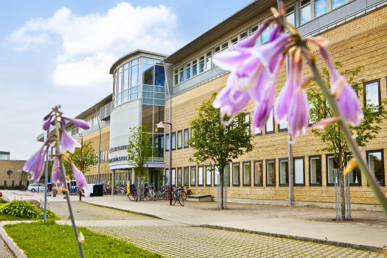 Umeå University, School of Business, Economics and Statistics